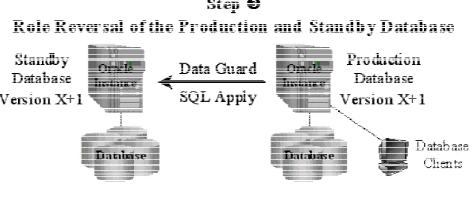 図 10:  ロール・リバーサル  ロール・リバーサルは、複数の手順で構成されます。たとえば、元のスタンバ イ・データベースを本番データベースに切り替える Data Guard スイッチオーバー、 新しい本番データベースへのデータベース・クライアントの再指定、スタンバ イ・データベースのアップグレード、両方のデータベースの互換性レベルの向上 などです。このプロセス中に数回、アップグレードの妥当性をチェックするため に、構成が複合モードで実行されます。そのタイミングでは、データを損失する ことなくアップグレー