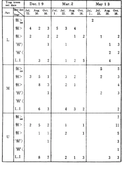 Table 6. The development of Larve s head width in Cerambycidal