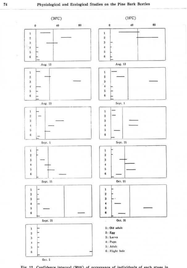 Fig.  12  Confidence  interval  (90%)  of  occurrence  of  individuals  of  each  stage  in         Cryphalus fulvus   N,  reared in  the  fixed  temperature from  old  adults