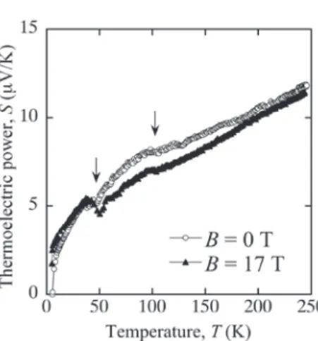 Fig. 7. Temperature dependence of thermoelectric power of HfV 2  for a zero magnetic field and 17 T.