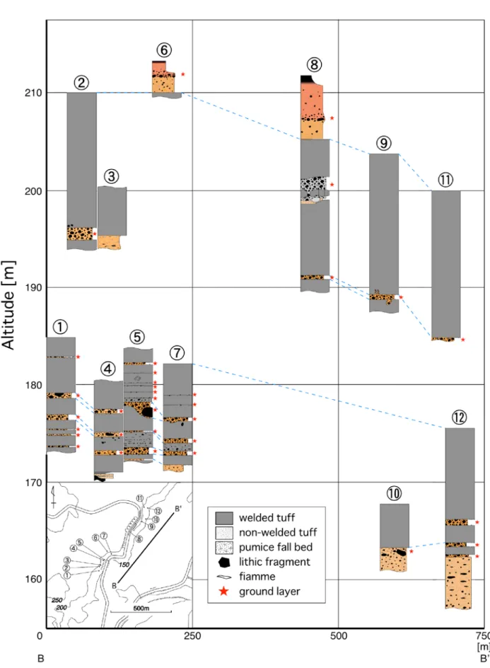 Fig. 6. Columnar section of the Ata pyroclastic flow deposit and locality map.