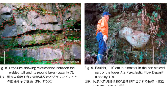 Fig. 8.   Exposure showing relationships between the  welded tuff and its ground layer (Locality 7).