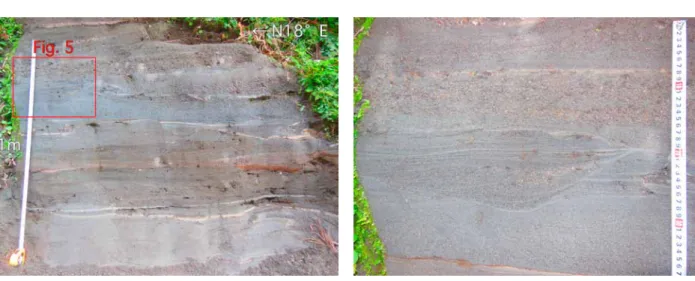 Fig. 5.   Scour-and-fill structure in the middle Horekizon  Formation.
