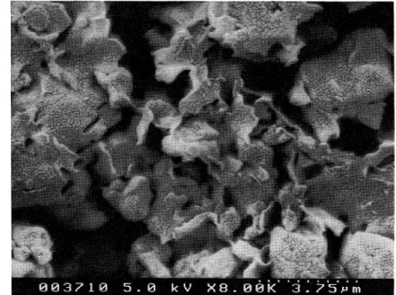 Fig. 7. Scanning electron micrographs of the <2〃m fraction. General appearance of the clay assemblages resembles broken or crumpled "potato chips".