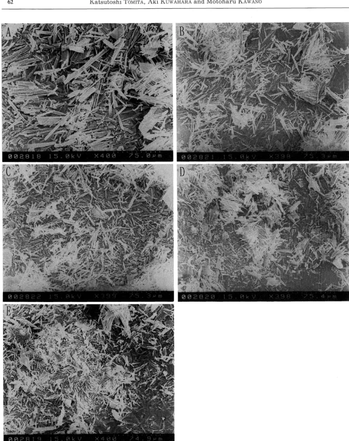 Fig. 4. Scanning electron micrographs of the formed gypsums. A : Sample No. : 1015Fe ; B : Sample No. : 1015Na ; C:Sample No : 1015Mg; D:Sample No∴ 1015K; E:Sample No.: 1015Al.