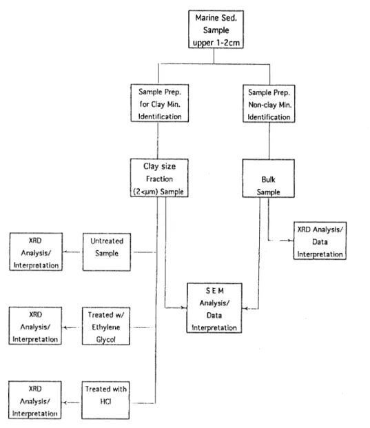 Figure 3. Flow chart showing procedures of mineralogical investigation of bottom sediment samples