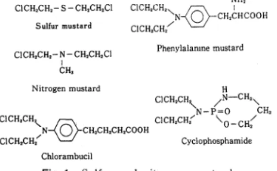 Fig.  2  Cyclophosphamide  and   ifosfamide   .