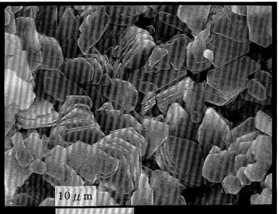 Fig. 7 Scanning electron micrograph of the typical kaolinite in zone I. m?: I I I I I I I 500℃ I I,ふ℃ Fig. 8 DTA curves for kaolinite, smectite and lOÅhalloysite