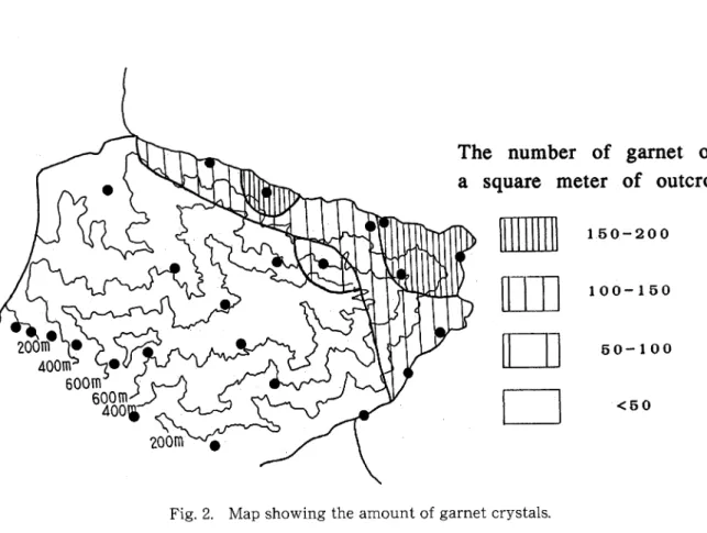 Fig. 2. Map showing the amount of garnet crystals.