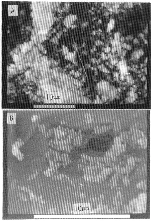 Fig. 5 Scanning electron micrographs of the erionites.