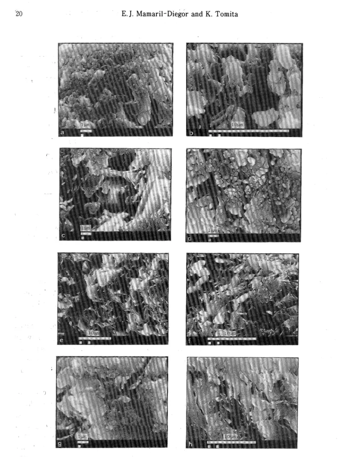 Fig. 5. Scanning electron micrographs for Bulala flint clay heated at different temperatures.