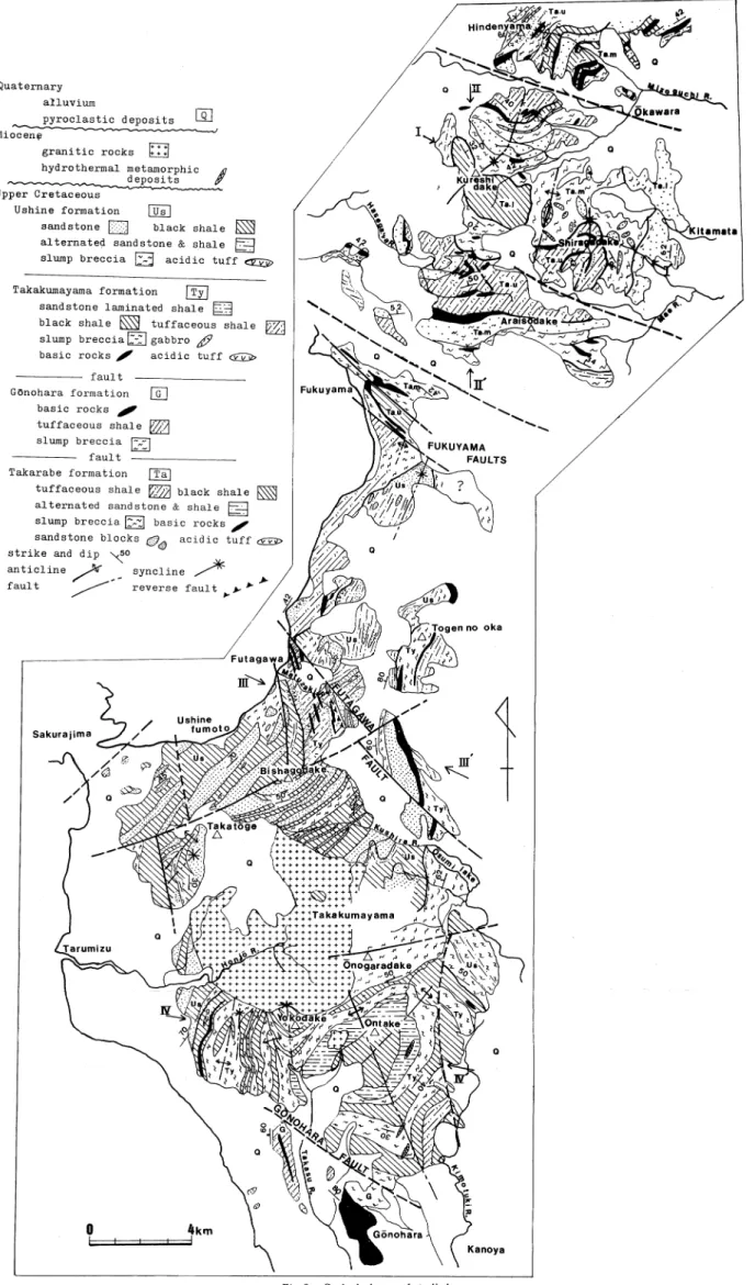 Fig. 2. Geological map of studied area.
