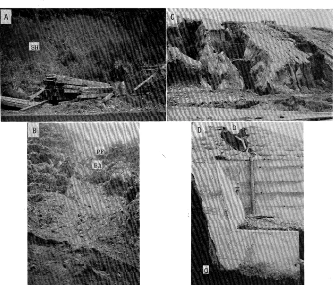 Fig. 9. Various patterns of the landslides in the "Shirasu" pumice flow regions