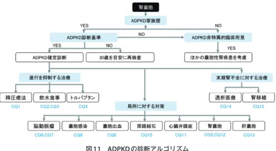 図 11   ADPKD の診断アルゴリズム