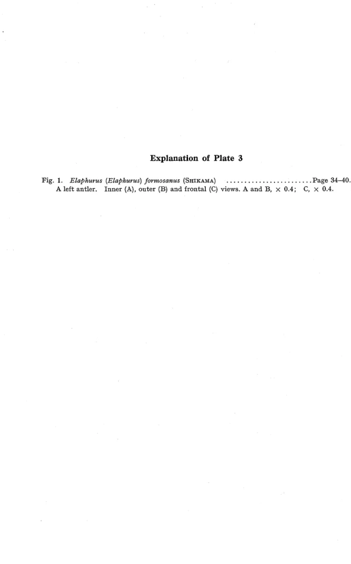 Fig. 1. Elaphurus (Elaphurus) formosanus (Shikama)   ‥ ‥ ‥ ‥. ‥.. ‥ ‥ ‥Page 34‑40.
