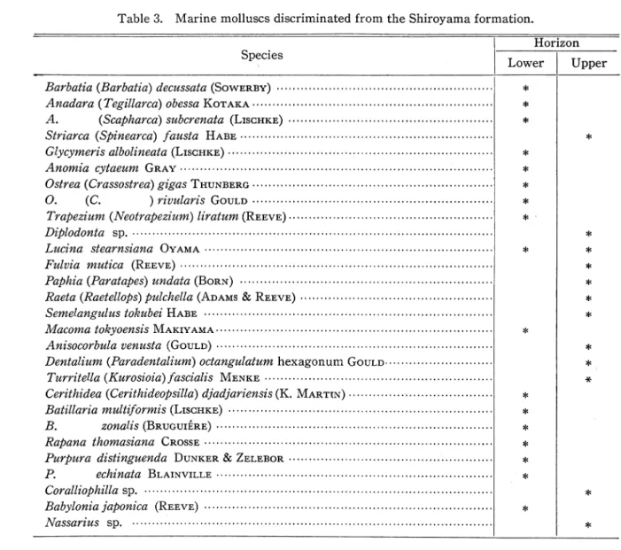 Table 3. Marine molluscs discriminated from the Shiroyama formation. 〔化 石〕 城山,琉球人松では上下二枚の貝化石層がみとめられ,その構成種はTable3に 示す通りである｡琉球人松,城山では下部貝化石層中に著しく大型重厚を殻をもつOstreagigas Thunbergの化石が密集して産出し,樵を形成して生息していた状態が観察される｡これと同様 をものはかつて著者の一人(早坂, 1960)が,我国更新世間氷期の梅進初期の堆積物中にしばし
