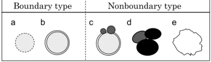 Fig. 1. Gross classification of hepatocellular caricinoma (HCC)  nodules.