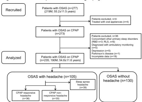 Fig. 1: Flow chart of the patient selection and grouping 