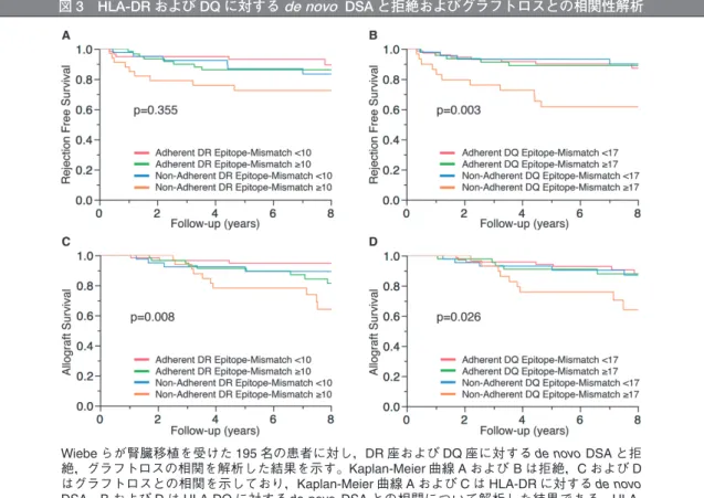 図 3 HLA-DR および DQ に対する de novo DSA と拒絶およびグラフトロスとの相関性解析