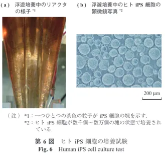 Fig. 7　Confirmation of iPS cell anaplasticity with immunostaining method( a )　浮遊培養中のリアクタ　　   の様子 *1( b )　浮遊培養中のヒト iPS 細胞の　　   顕微鏡写真 *2200 µm（ 注 ） *1：一つひとつの茶色の粒子が iPS 細胞の塊を示す． *2：ヒト iPS 細胞が数千個～数万個の塊の状態で培養され  ている．第 6 図　ヒト iPS 細胞の培養試験Fig