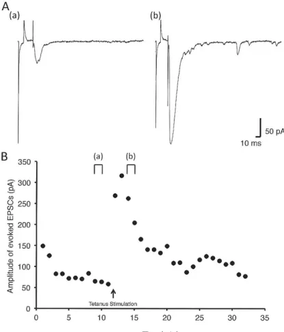 Figure 2　 A sample recoding in neuron with long  term potentiation