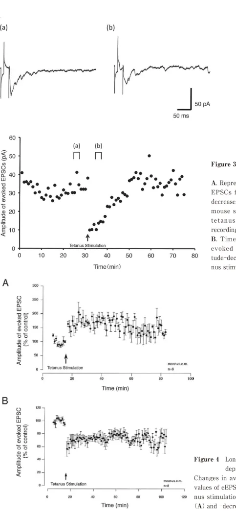 Figure 3　 A sample recoding in neuron with  long term depression