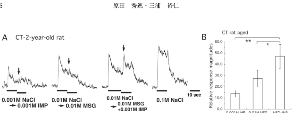 図 5　A: 老齢 (24月齢 ) ラット CT から得られた，0.001 M NaCl 前順応後の 0.001 M IMP, 0.01 M NaCl 前順応後の 0.01 M  MSG, 0.01 M NaCl 前順応後の 0.001 M IMP + 0.01 M MSG 混合物 , 0.1 M NaCl 単独で刺激した場合の積分応答の一例。順 応および刺激はそれぞれ 10 秒間与えた。B:  老齢ラット (21 ～ 24  月齢 , n =5) CT から得られた 0.001 M IMP, 0.01 M