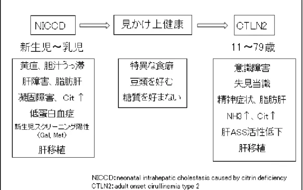 図 2  シトリン欠損症の年齢依存性の二つの病態  3.診断基準  ①遺伝子解析**： SLC25A13 遺伝子の両アレルに病因変異を認める  日本人患者では代表的な 11 個の変異で変異頻度の 95％を占める  ②  末梢血でのウエスタンブロット**：シトリンタンパクが検出されない  ①  もしくは②を認めるものを確定例とする。  4.新生児期に本症を疑われた場合(NICCD)の診療ガイドライン  1) 概論  この時期には新生児マススクリーニング陽性を機に精査受診となるもの（以下、新生児 マススクリーニ