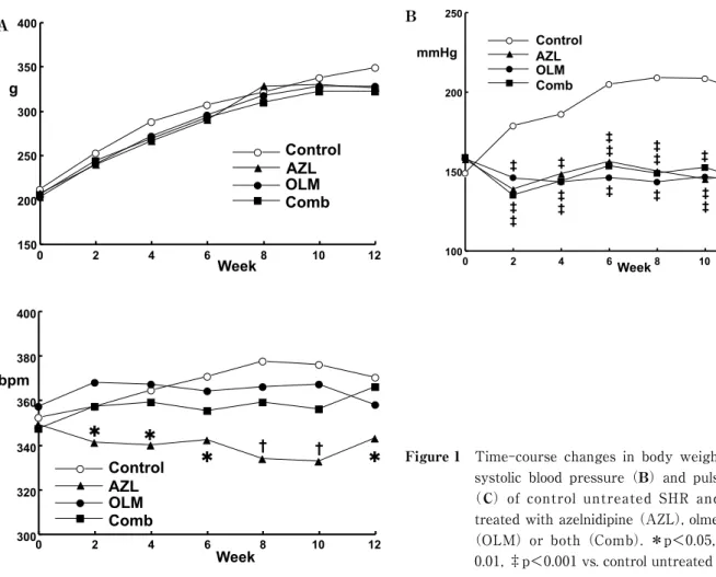 Figure 1　 Time-course  changes  in  body  weight （A）,  systolic  blood  pressure （B） and  pulse  rate 