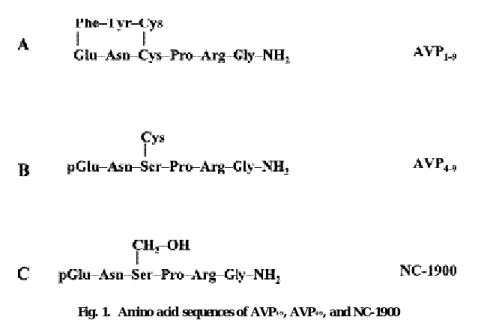 Fig. 1. Amino acid sequences of AVP 1-9 , AVP 4 -9 , and NC-1900