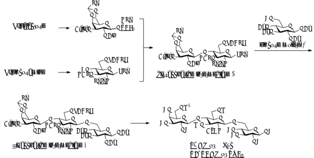Fig. Schematic image of synthesis of KS disaccharide library. 