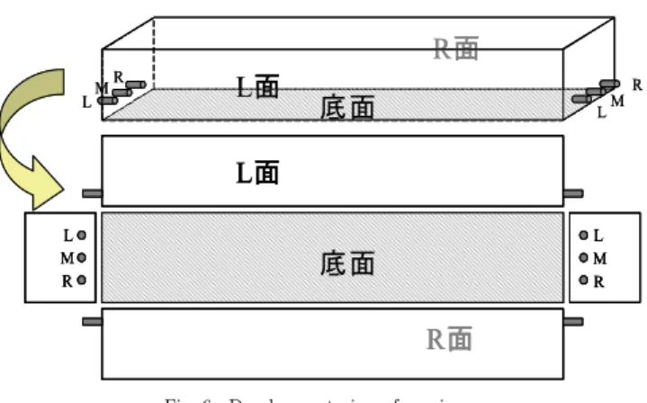 Fig. 6 Development view of specimen