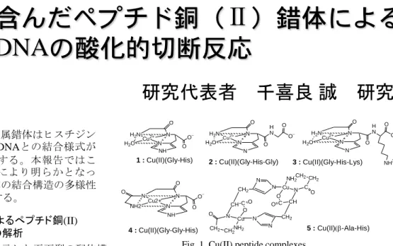 Fig. 2. Calculated ESR spectra of Cu(II) complexes oriented in DNA fiber.