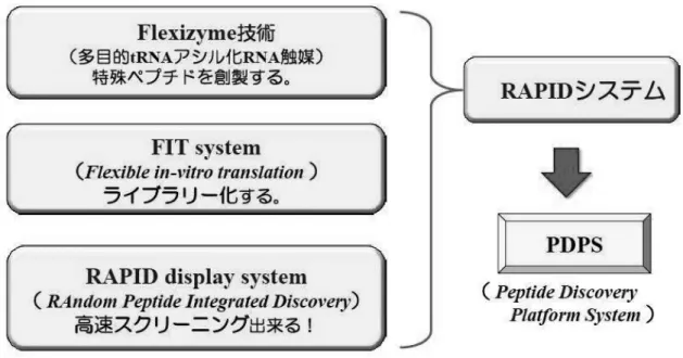 図表 6  PDPS(Peptide Discovery Platform System)とは（ペプチドリーム社作成） 