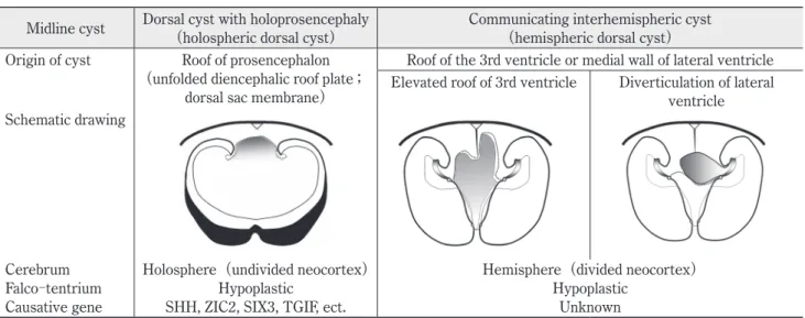 Table 1   Morphologic difference between a dorsal cyst with holoprosencephaly（holospheric dorsal cyst）and   a communicating interhemispheric cyst（hemispheric dorsal cyst）
