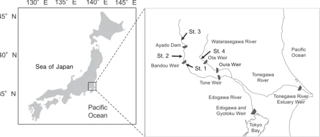 Table 1. Summary of specimens Oncorhynchus masou masou used for Sr:Ca analyses.