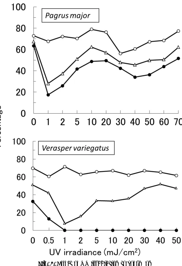 Fig. 3. Effect of UV irradiation to sperm on  fertilization  (○),  embryo forming  (△)  and  hatching (●)