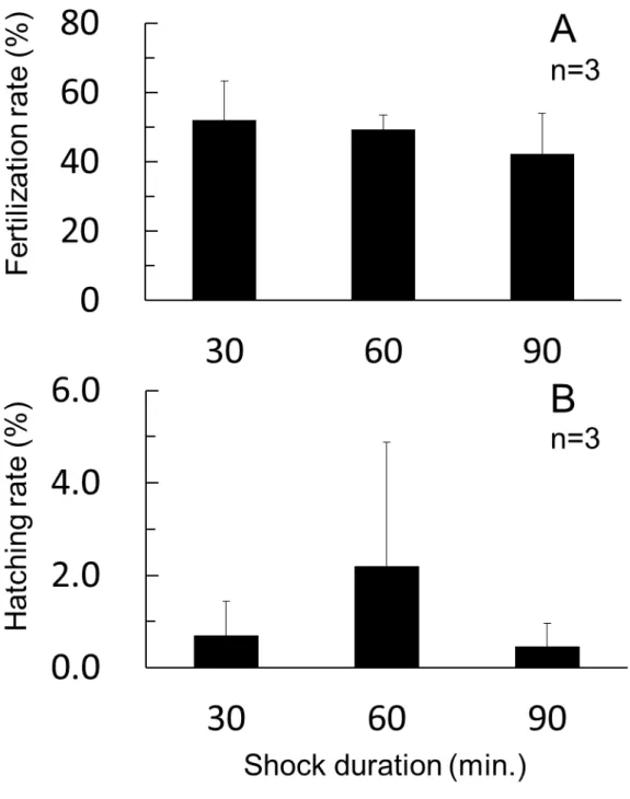 Fig. 5. Effect of cold shock duration on fertilization  (A) and hatching (B). Bars indicate SD