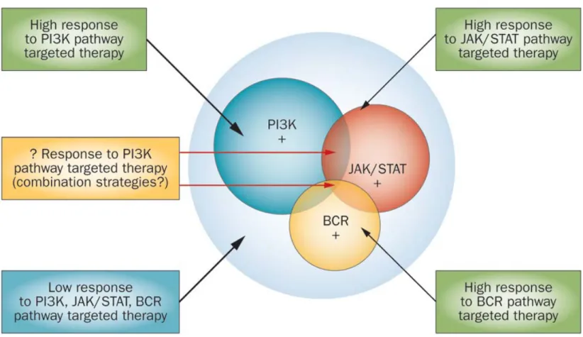 Figure 4 Defining lymphoma subsets based on biomarkers of activated pathways 