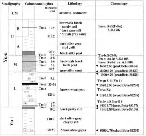 Fig. 2 Stratigraphy of the Tameike Site (modified from Yoshikawa (1997a)). See Fig. 3 for legends of the columnar section.