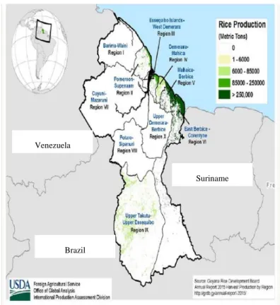 Fig. 1. Rice producing areas in Guyana 