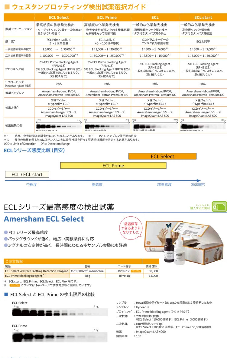 Fig 5. Comparative performance evaluation of Amersham ECL Select and  Amersham ECL Advance