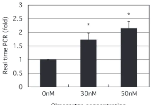 Fig. 1. Olmesartan dose (from 0 to 50 nmol/L) dependently  significantly enhances in mRNA expression of PPARγ in  human  renal  proximal  tubule  cells  (RPTEC),  by  method  of quantitative real-time polymerase chain reaction