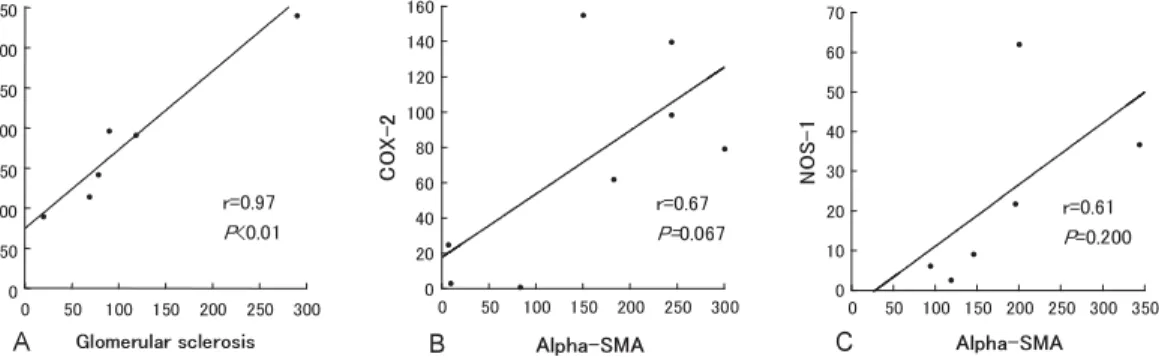 Fig. . Correlations between each parameter. (A) α-SMA vs glomerular sclerosis in cats