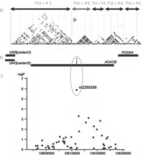 図 ５　ゲノムワイド関連解析（GWAS) の解析例
