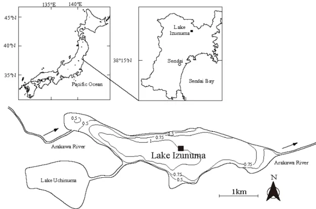 Fig. 1.  Sampling locations in Lake Izunuma. Solid lines indicate isobaths in meters. Solid squares  represent the locations where samples were collected