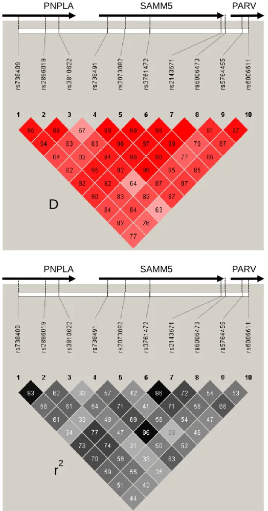 図 4    PNPLA3, SAMM50 ,PARVB  遺伝子上の SNP の連鎖不平衡係数