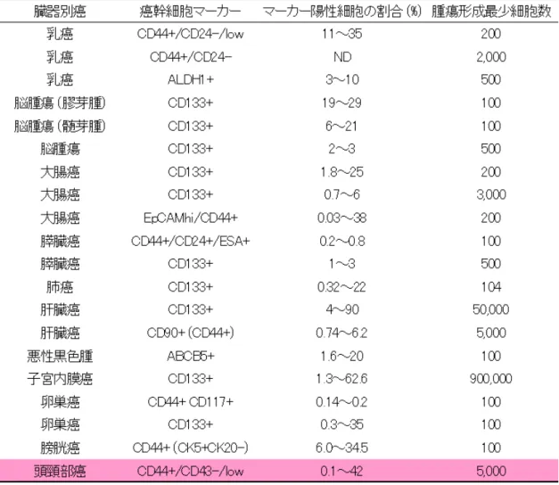 表 1.  各癌腫における代表的 CSC マーカー    以上より、 OSCC において CSC 関連分子の発現解析や機能解析を行なうことは、 OSCC の CSC ひいてはその分化・増殖機構の理解に繋がり治療や予後予測にも寄 与しうると考えられる。そこで、本研究においては近年新たに同定された幹細 胞関連分子 Nucleostmein と従来から幹細胞に関わりが深いとされている Notch  signaling に焦点をあてた。各々の分子の病理組織標本や培養細胞での発現解析 を行なうと共に、それらの分子が 