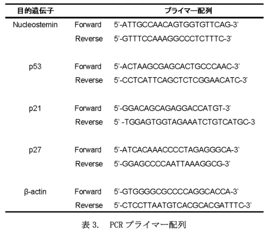 表 3.  PCR プライマー配列  6-1-6.  蛍光免疫染色 