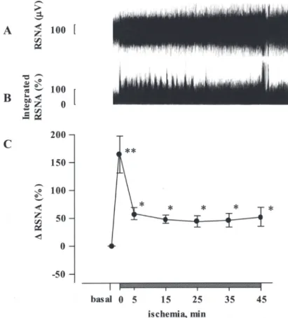 Figure  2.  (A)  Changes  in  norepinephrine  (NE)  concentrations  in  dialysate  of  kidneys  with  ischemia/ reperfusion